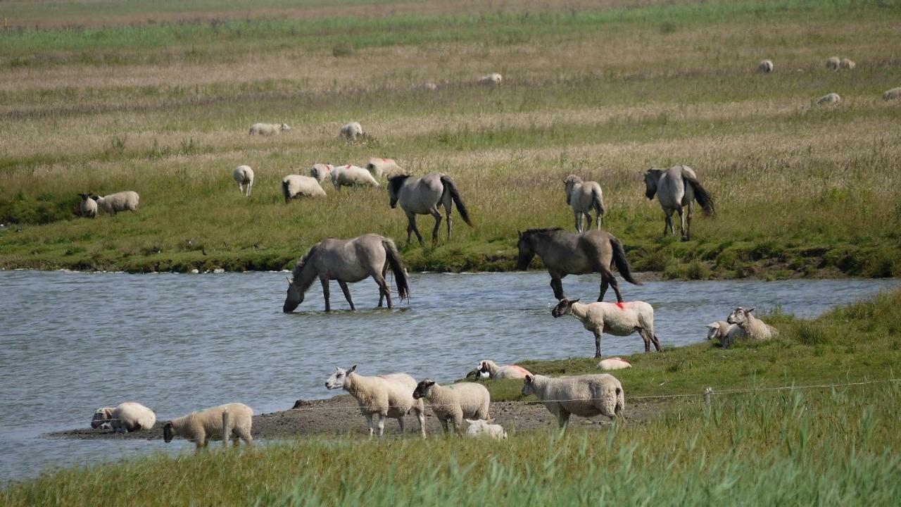 Wattenblick * Büsum