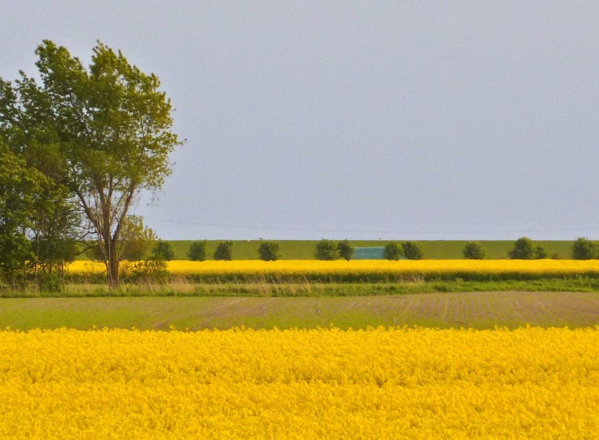 Wattenblick